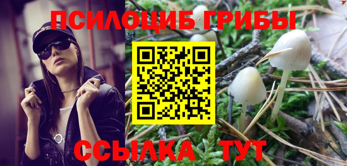 Галлюциногенные грибы прущие грибы  Вход с VPN  Ликино-Дулёво 
